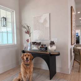 a dog sitting in a room with a large window